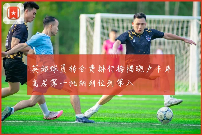英超球员转会费排行榜揭晓卢卡库高居第一托纳利位列第八