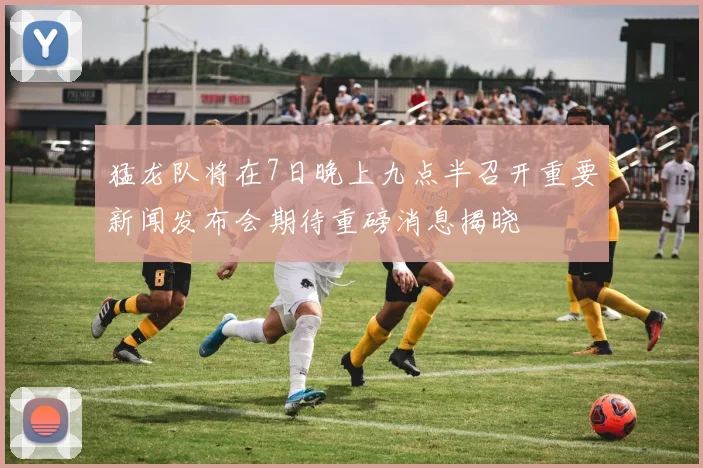 猛龙队将在7日晚上九点半召开重要新闻发布会期待重磅消息揭晓